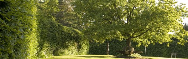 Village Green Oakleaf bench